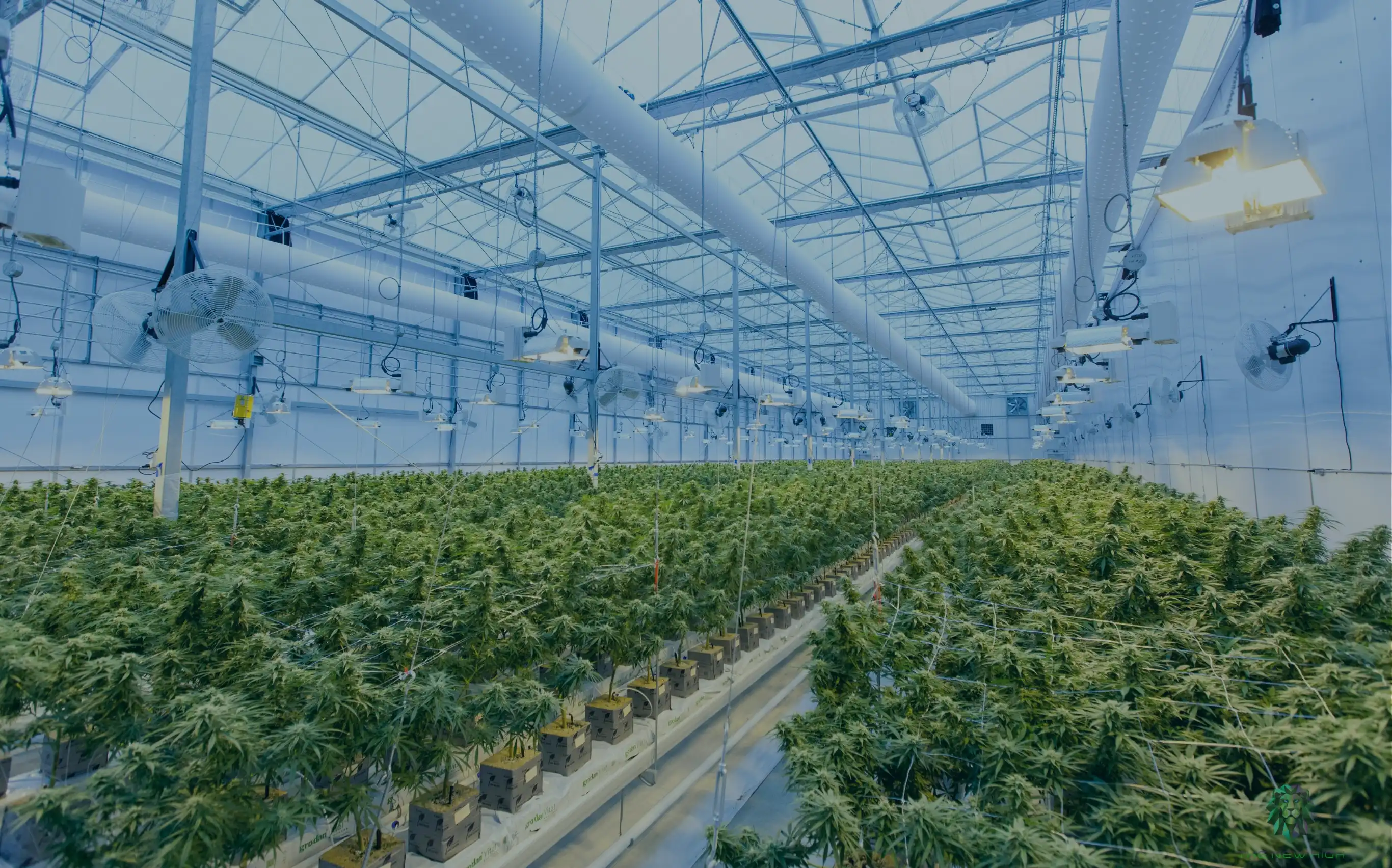 Giant-Indonesia-Industry