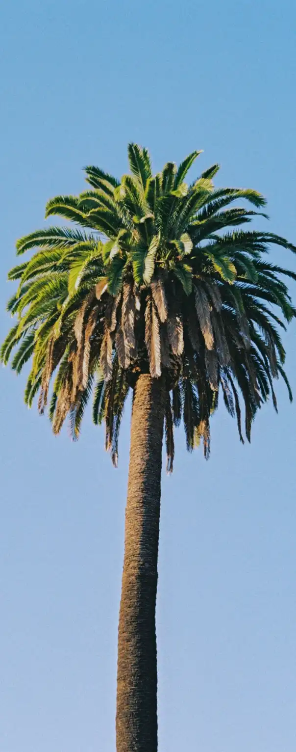 Giant-Indonesia-Industry