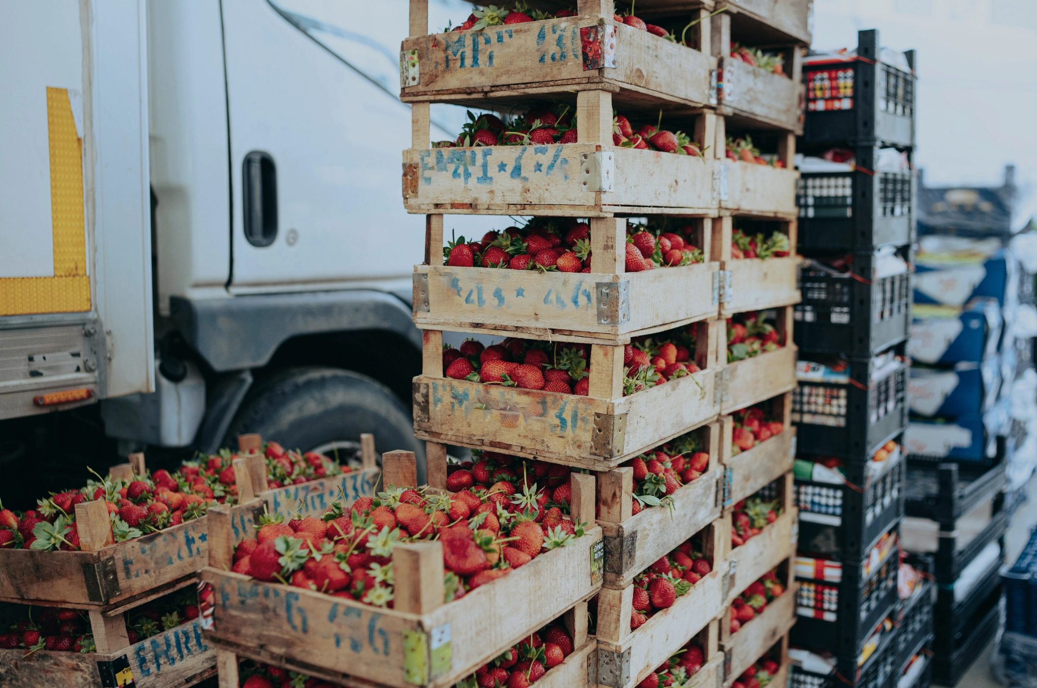 Giant-Indonesia-Industry