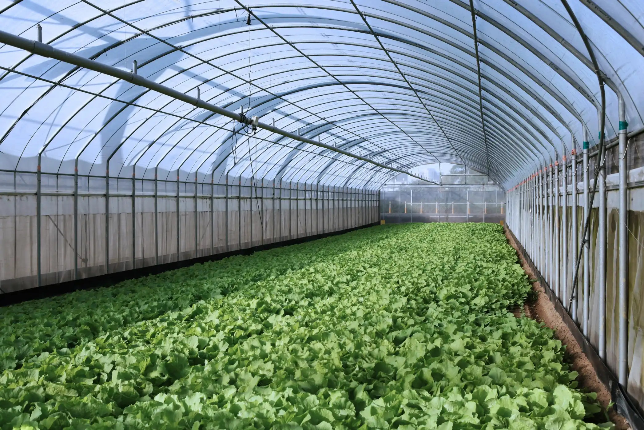 Giant-Indonesia-Industry