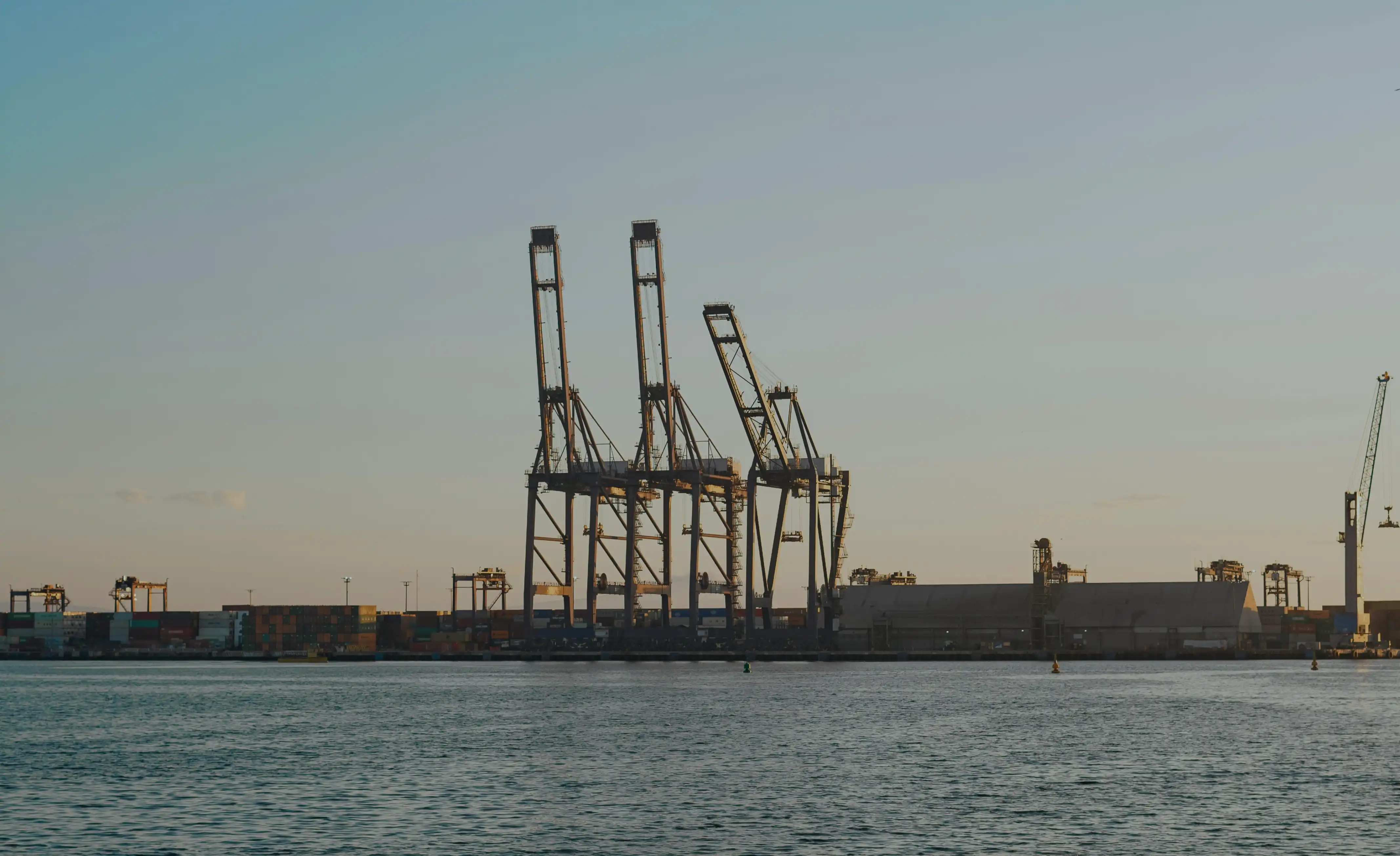 Giant Transporter Indonesia