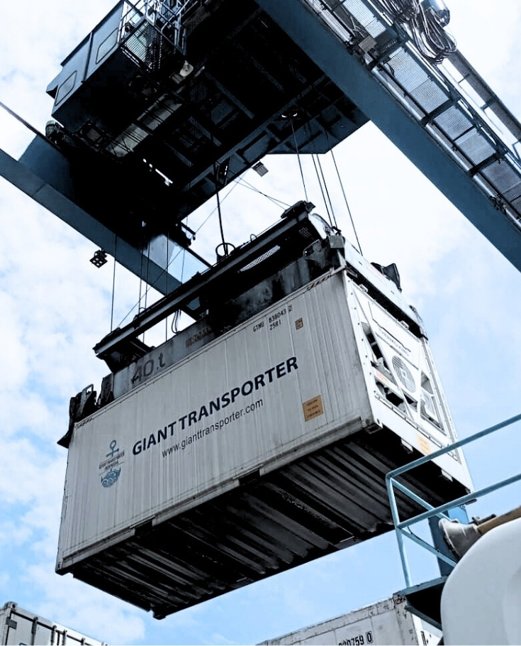 Cold chain logistics facility interior and staff handling cargo